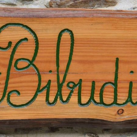 Gîtes de la Bibudière Le Boupère Extérieur photo